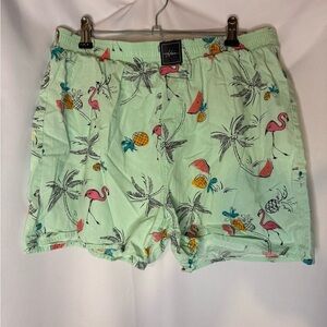 Men’s Hollister Tropical Print Mint Green Shorts